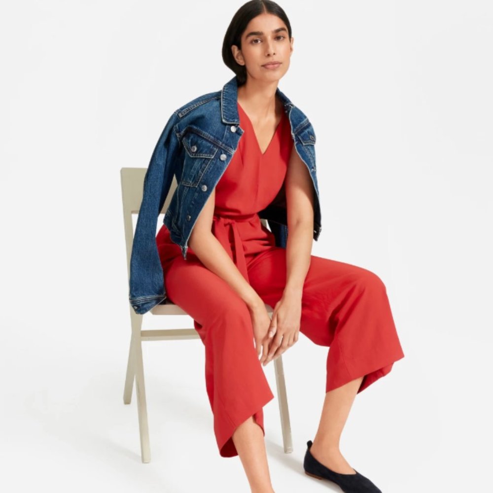 Everlane Japanese GoWeave Jumpsuit nwt